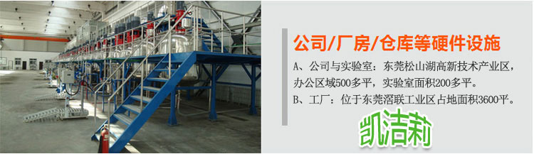 凱潔莉洗衣粉/洗滌劑生產(chǎn)設(shè)備